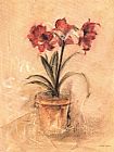 Secret Amaryllis II